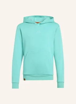 ADIDAS MINECRAFT TERREX HOODIE