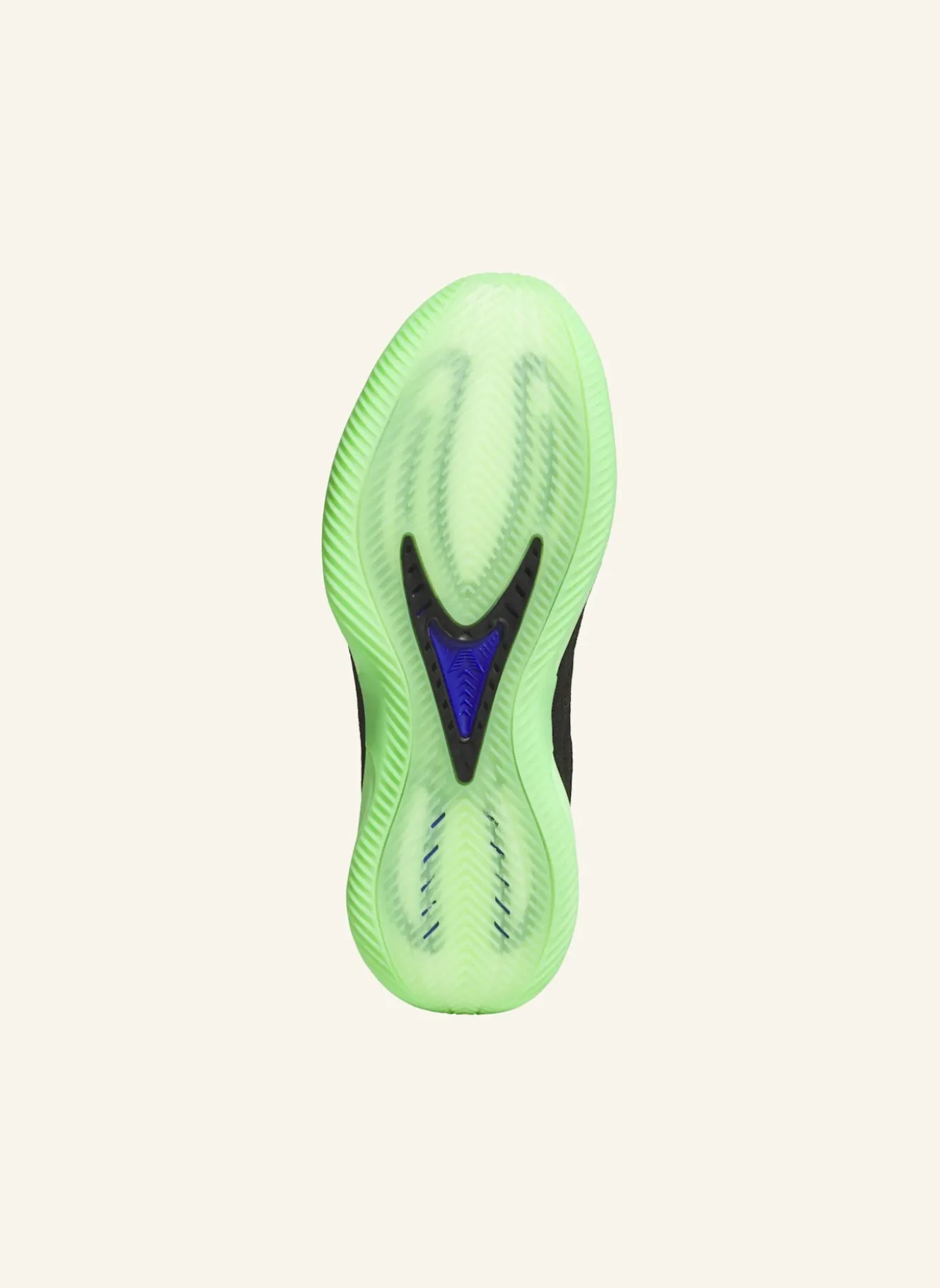 ANTHONY EDWARDS 2 SCHUH