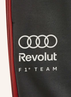 AUDIREVOLUTF1TEAMDNAHOSE