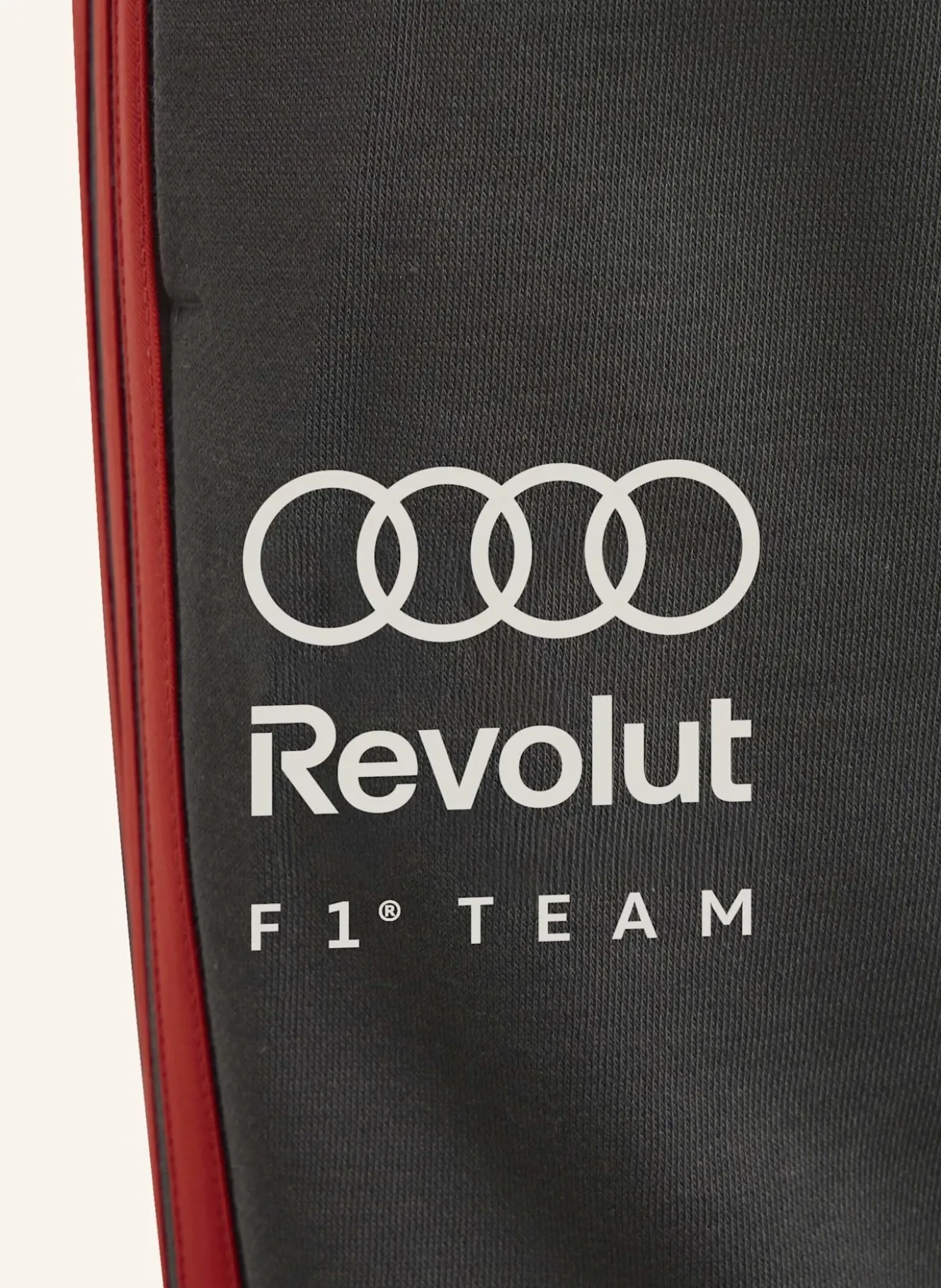 AUDIREVOLUTF1TEAMDNAHOSE