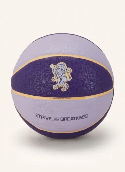 Basketball ALL COURT 8P