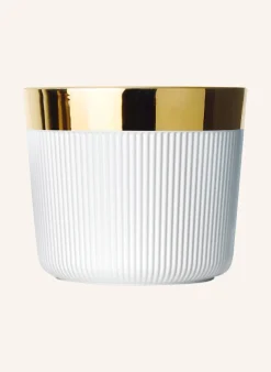 Becher SIP OF GOLD