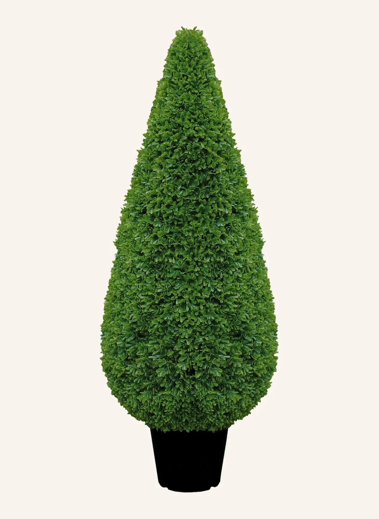 Buchsbaum KEGEL