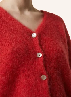 Cropped Cornelia