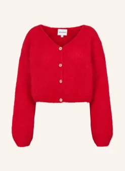 Cropped Cornelia