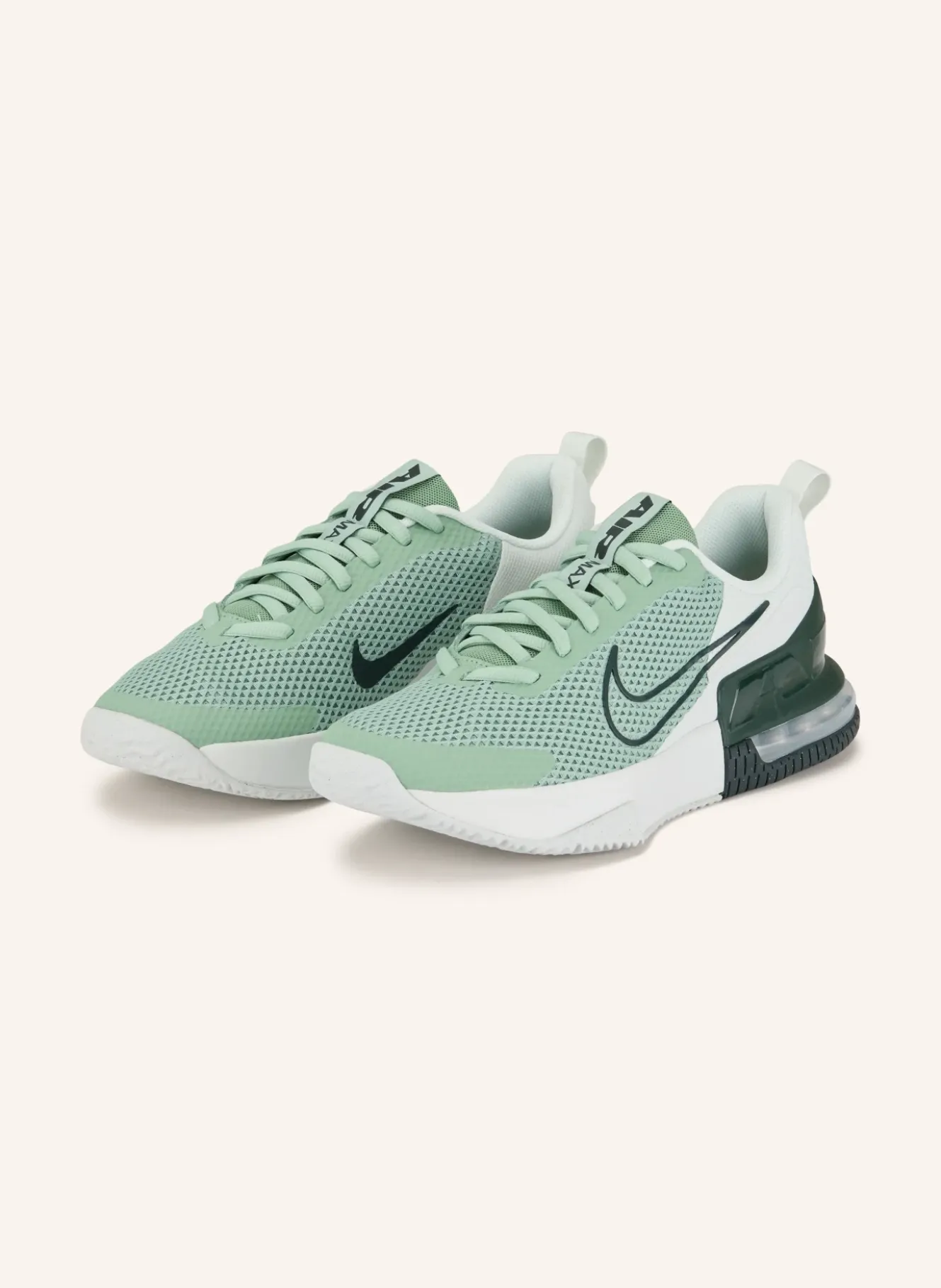 Fitnessschuhe AIR MAX ALPHA TRAINER 6