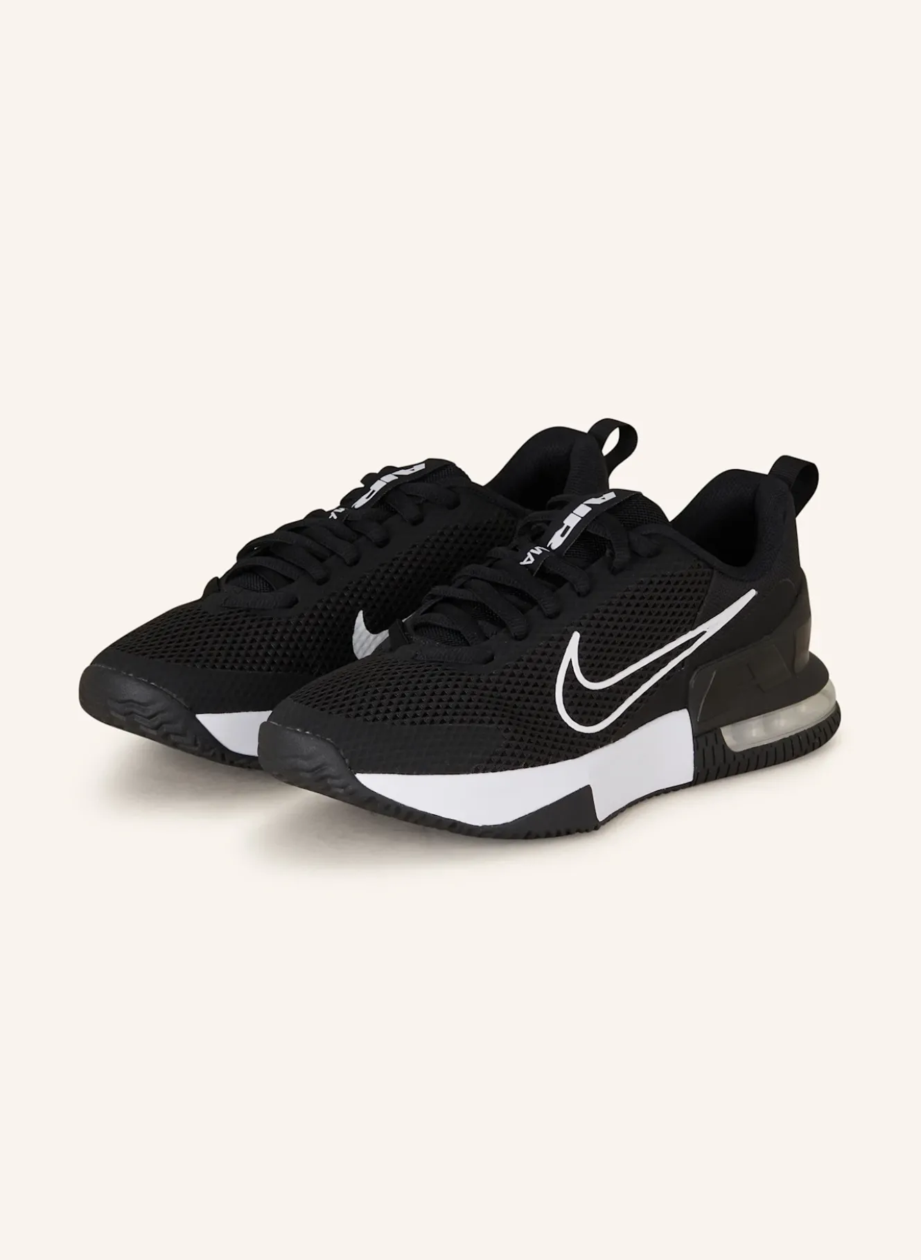 Fitnessschuhe AIR MAX ALPHA TRAINER 6