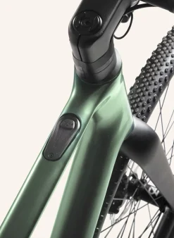 Gravel Bio-Bike WALDWIESEL