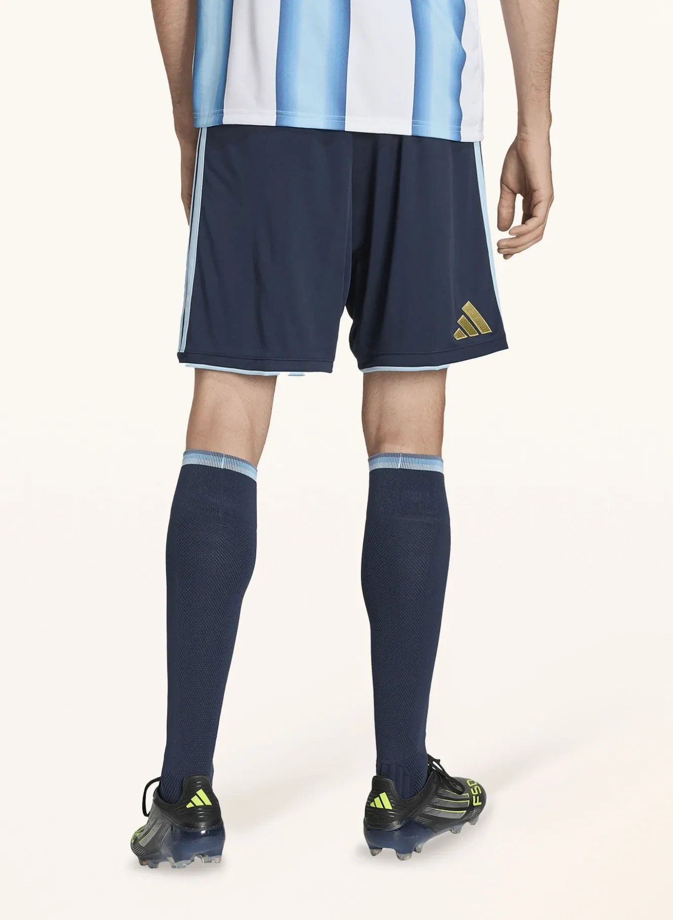 Heimtrikothose ARGENTINIA 26 für Herren