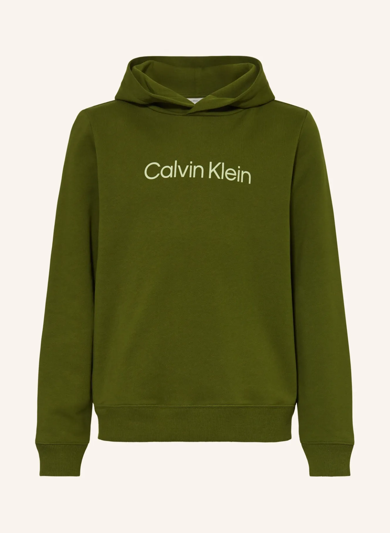 Hoodie LOGO REG