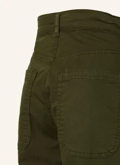 Hose