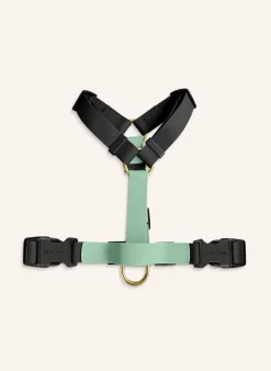 Hundegeschirr OUTDOOR FLEX