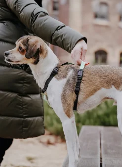 Hundegeschirr OUTDOOR FLEX
