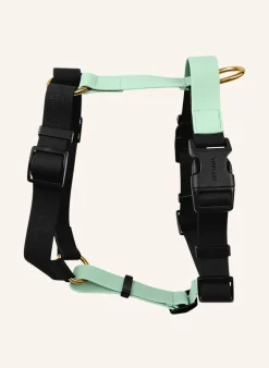 Hundegeschirr OUTDOOR FLEX