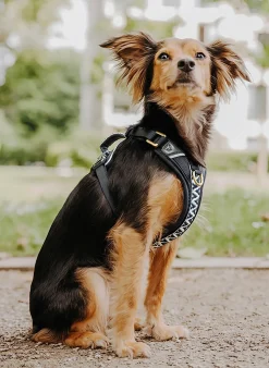 Hundegeschirr TRÈS CHIC