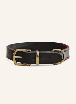 Hundehalsband PORTHOS mit Beschlag aus Messing