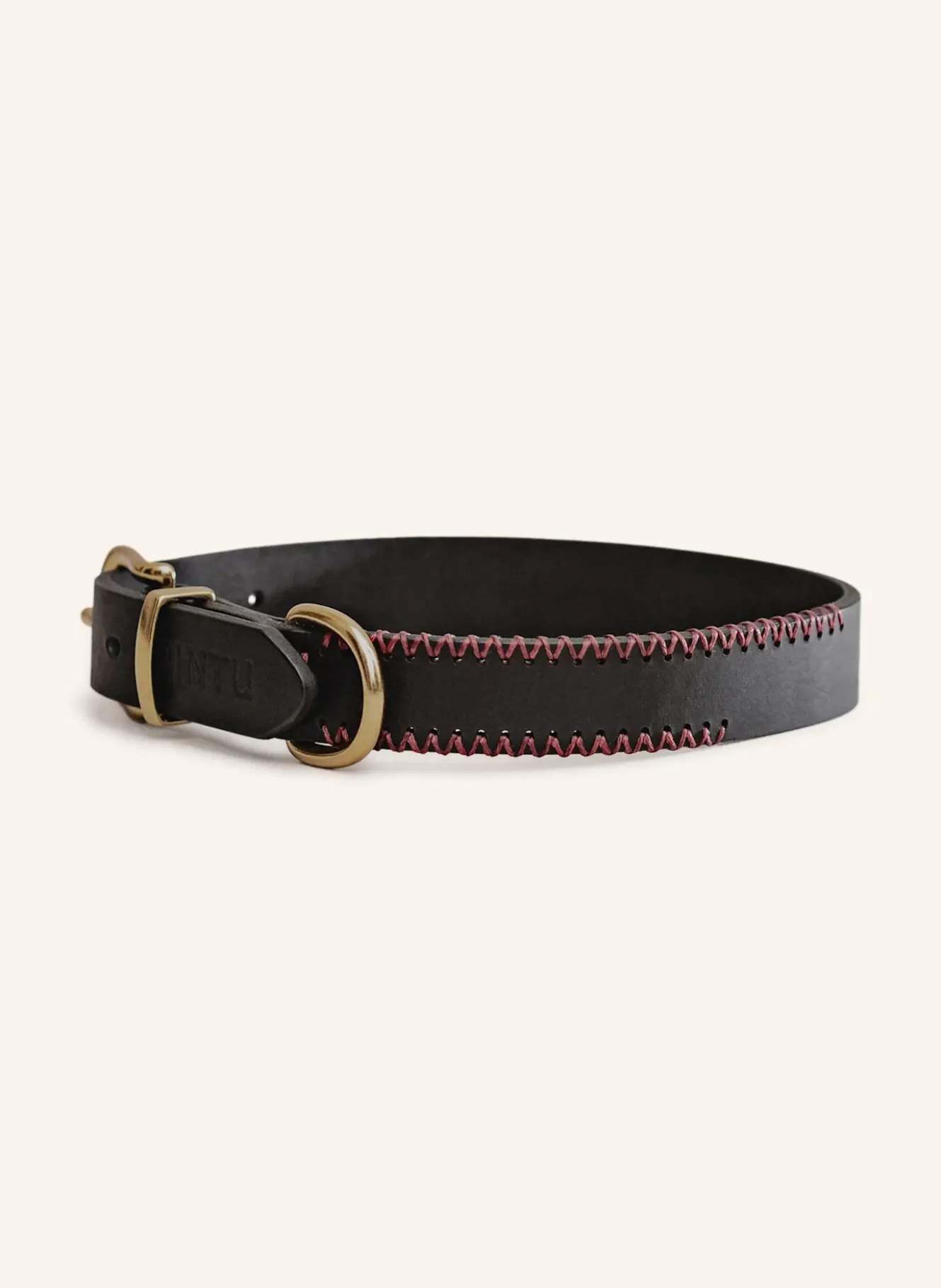 Hundehalsband PORTHOS mit Beschlag aus Messing