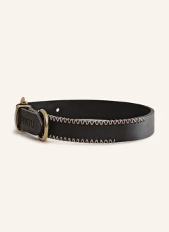Hundehalsband PORTHOS mit Beschlag aus Messing