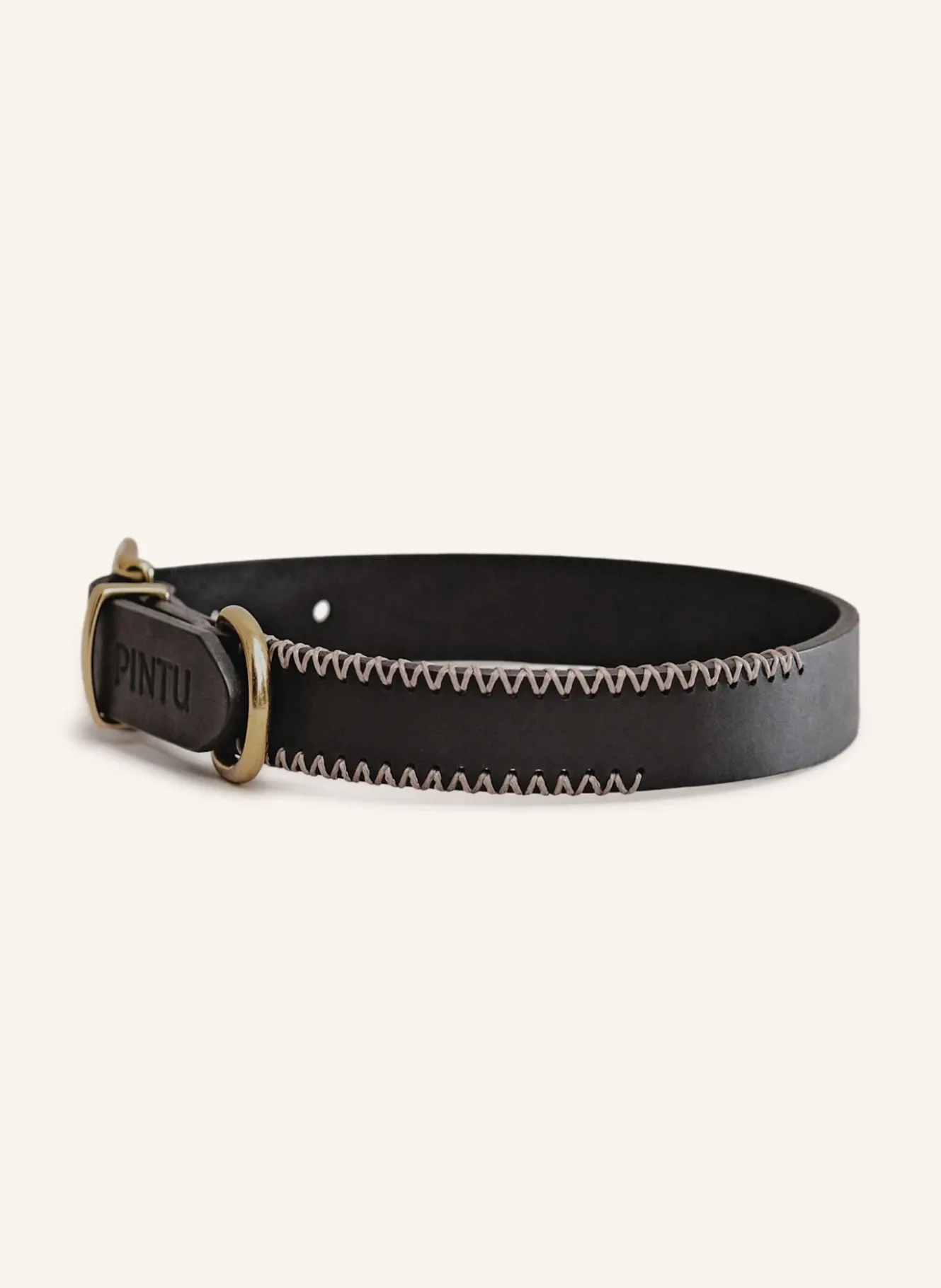 Hundehalsband PORTHOS mit Beschlag aus Messing