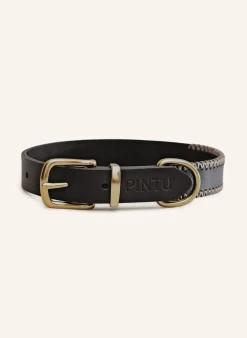 Hundehalsband PORTHOS mit Beschlag aus Messing