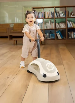 Lauflernwagen WALK N ROLL 2in1 ECO