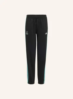 MERCEDES– AMG PETRONAS FORMULA 1 TEAM DNA HOSE
