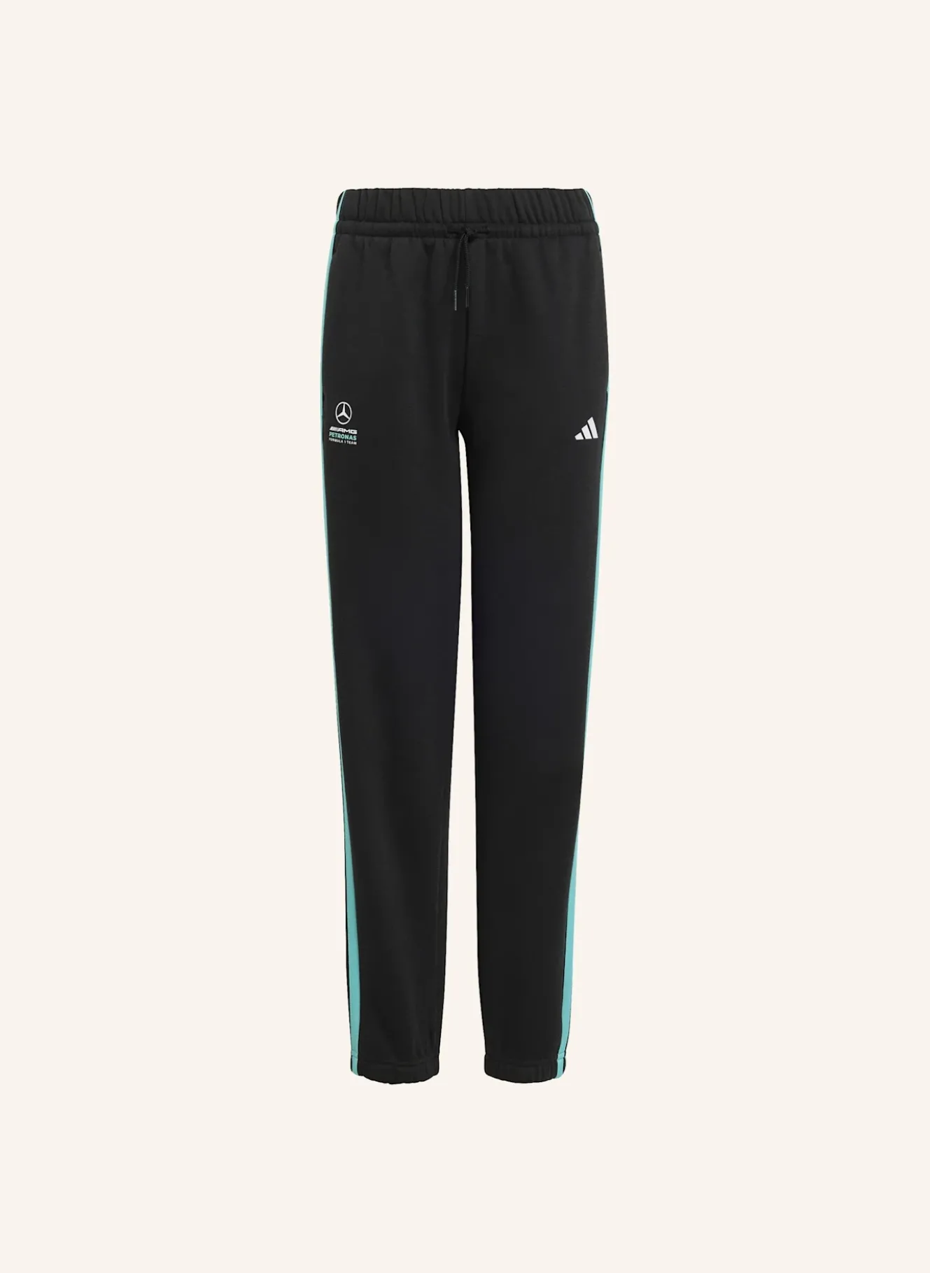 MERCEDES– AMG PETRONAS FORMULA 1 TEAM DNA HOSE