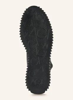 Plateau-Stiefel GLORIA