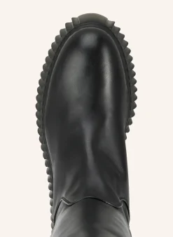 Plateau-Stiefel GLORIA