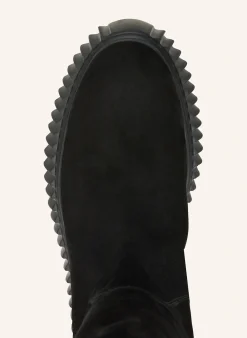 Plateau-Stiefel GLORIA