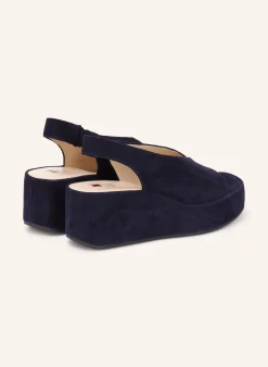 Plateau-Wedges