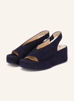 Plateau-Wedges