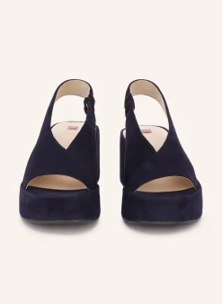 Plateau-Wedges