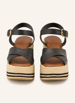Plateau-Wedges