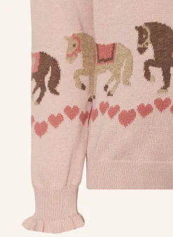 Pullover HCPANI