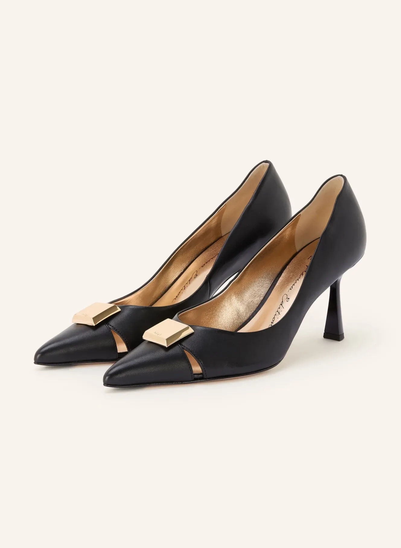 Pumps