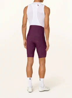 Radhose BREVET ELEMENT CARGO BIB mit Trägern und gepolstertem Einsatz
