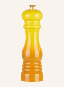 Salzmühle