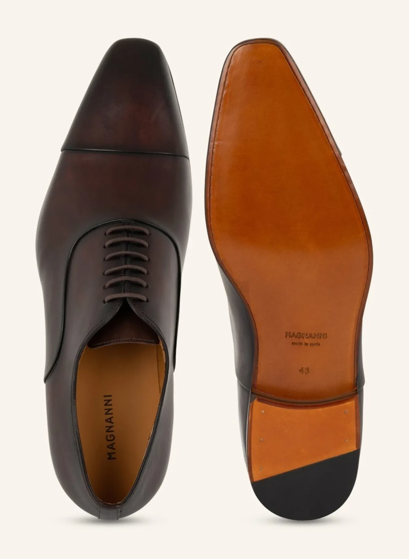 Schnürer MILOS