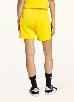 Shorts FIREBIRD