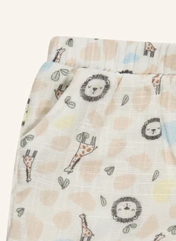 Shorts Safari