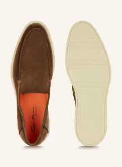 Slipper BOTANIST