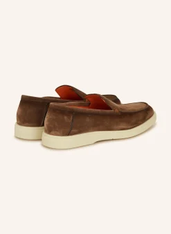 Slipper BOTANIST