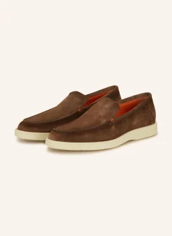 Slipper BOTANIST