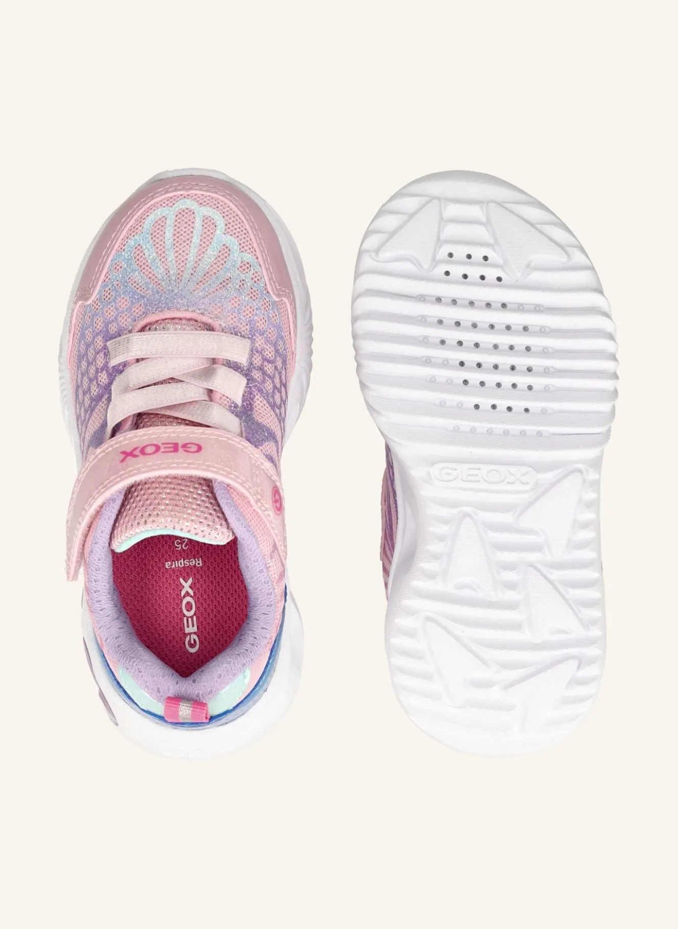 Sneaker ASSISTER
