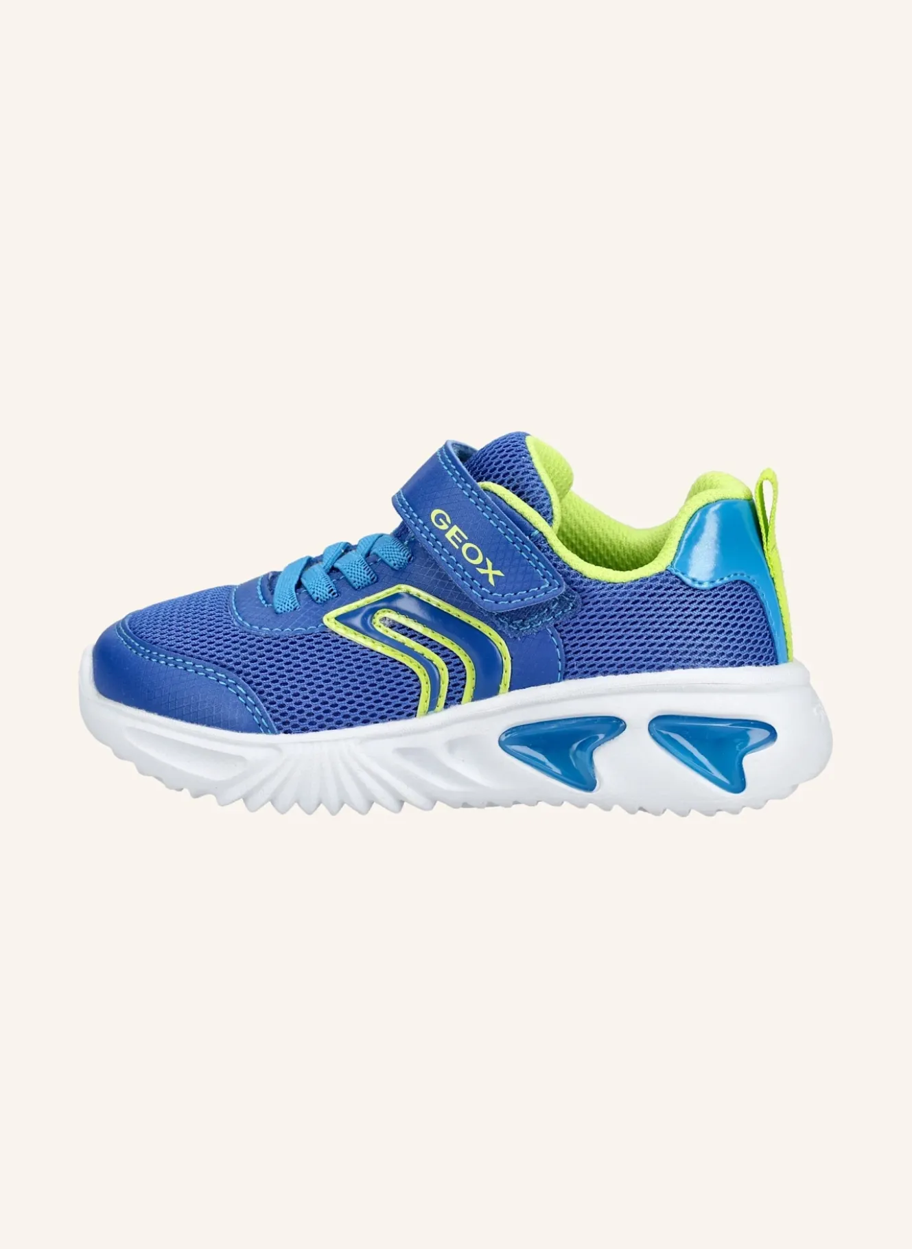 Sneaker ASSISTER B. C