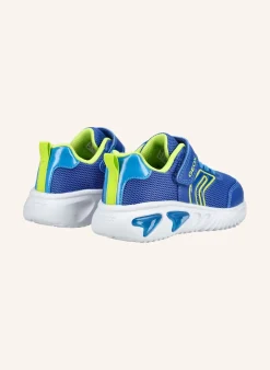 Sneaker ASSISTER B. C