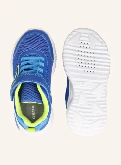 Sneaker ASSISTER B. C