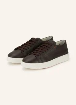 Sneaker DAMPS