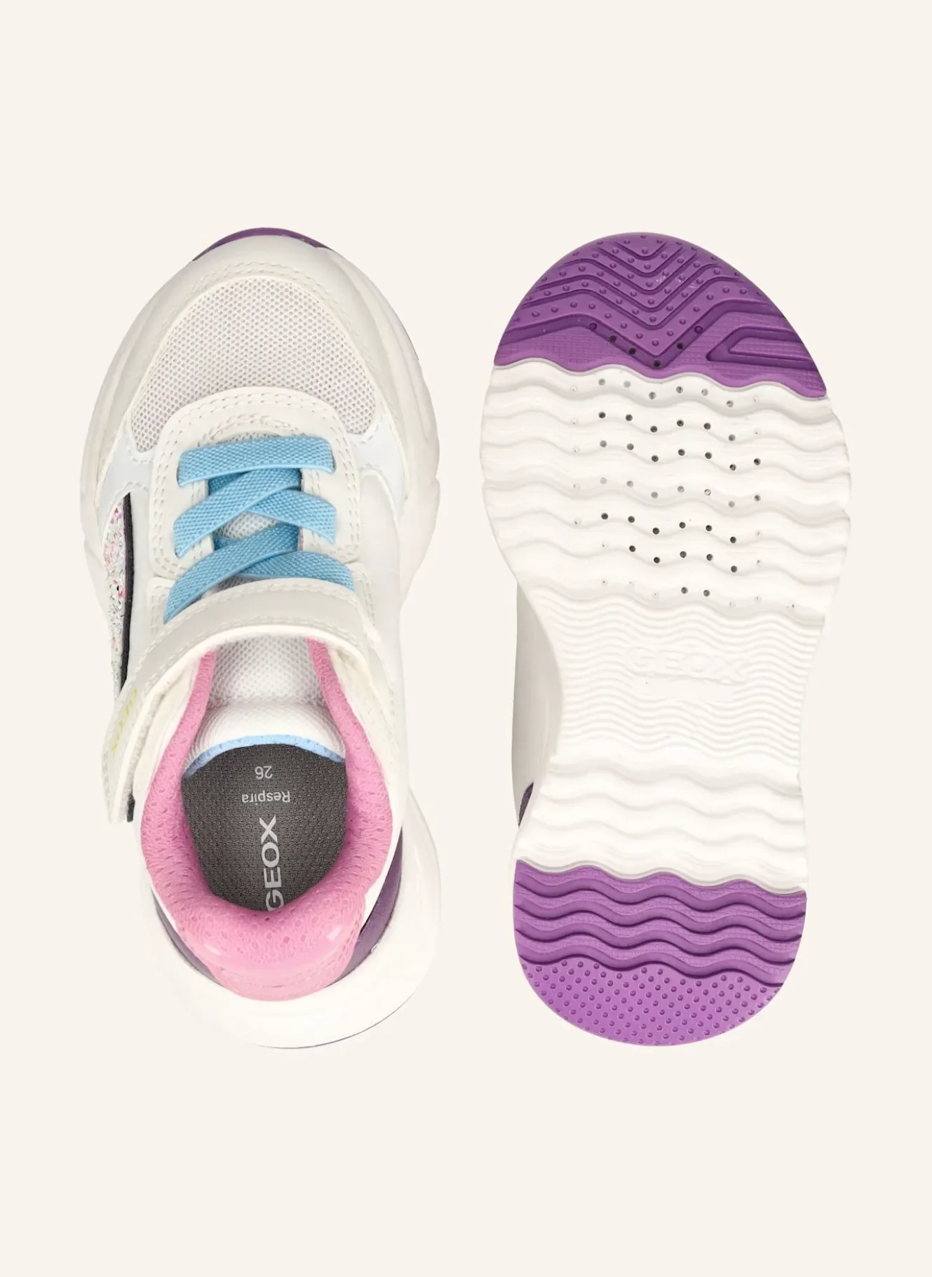 Sneaker LOFTUS